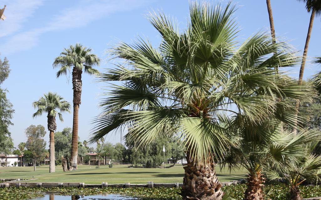 Barbara Worth Golf Resort Holtville Eksteriør billede